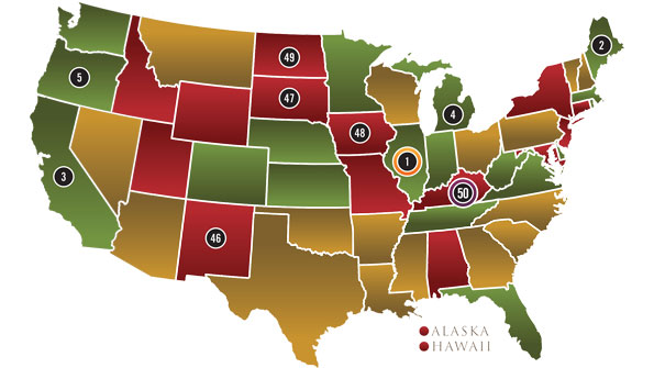 Report: Best and worst states for animal protection