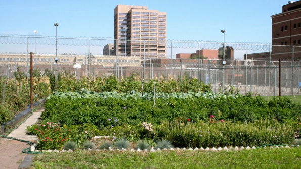 Prison produce