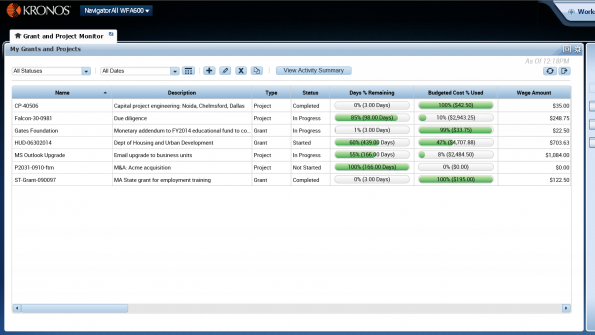 Grant and project tracking tool keeps tabs on labor and non-labor hours and costs (with related video)