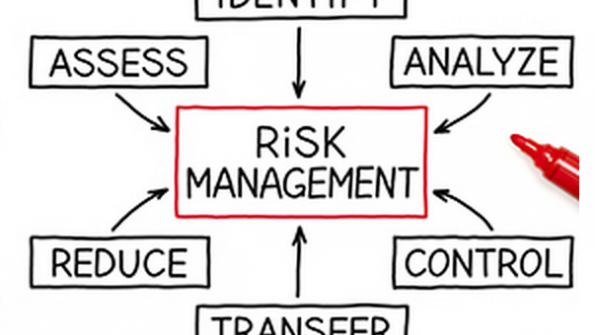 Minimize risk, reduce losses with a risk management culture