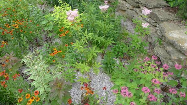 Municipalities turn to rain gardens as ways to manage stormwater, beautify areas