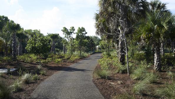 Park paths are paved with material made of recycled tires