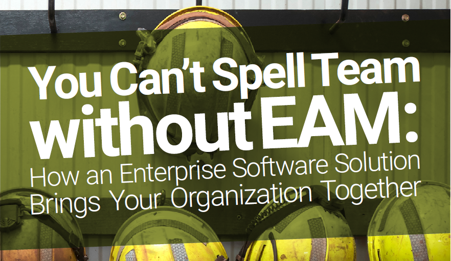 White Paper: How an Enterprise Software Solution Brings Your Organization Together