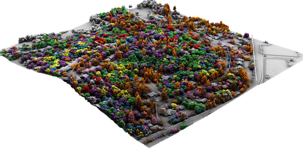 How hyperspectral imaging enables comprehensive vegetation management and improved community health outcomes