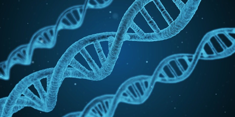 Probabilistic genotyping in forensic DNA analysis