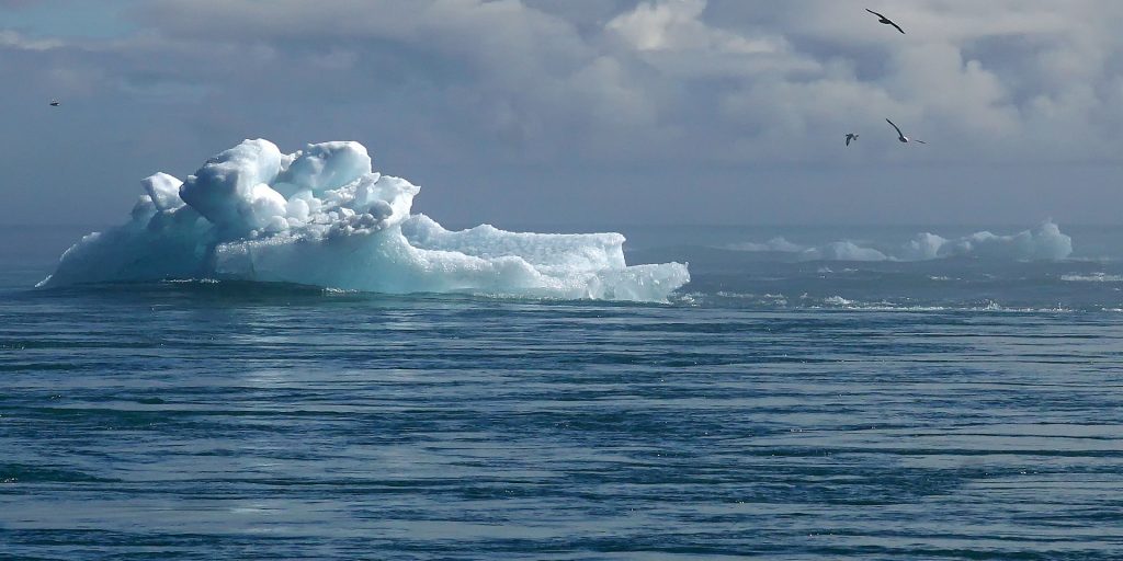 Climate report from UN warns of ‘dangerous and widespread disruption in nature’