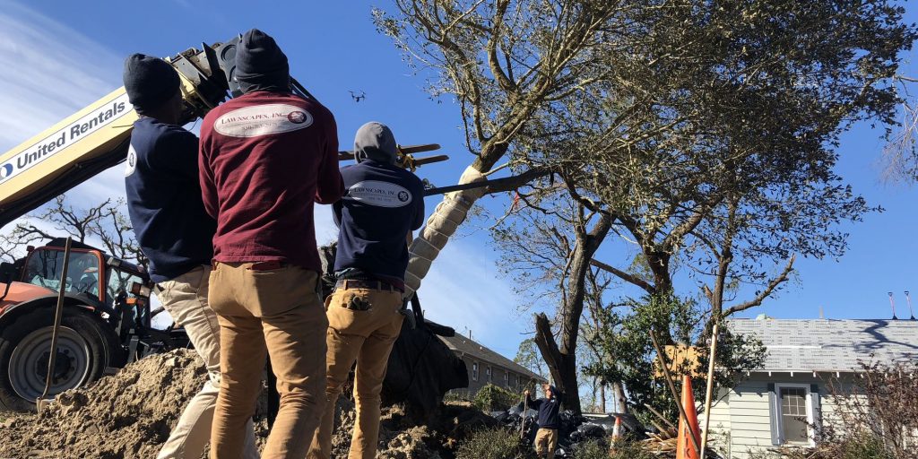 Four years after Hurricane Michael, Panama City, Fla. is replanting, rebuilding